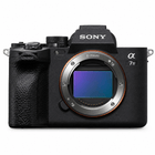 Аренда Sony A7 IV + объектив Sony 24-105 Kit — фото 2