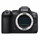 Аренда Canon R6 Mark II + объектив Canon RF 24-105 Kit — фото 2